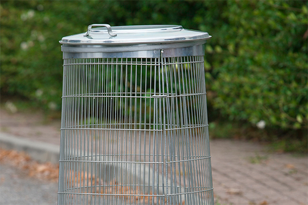 Articoli Complementari